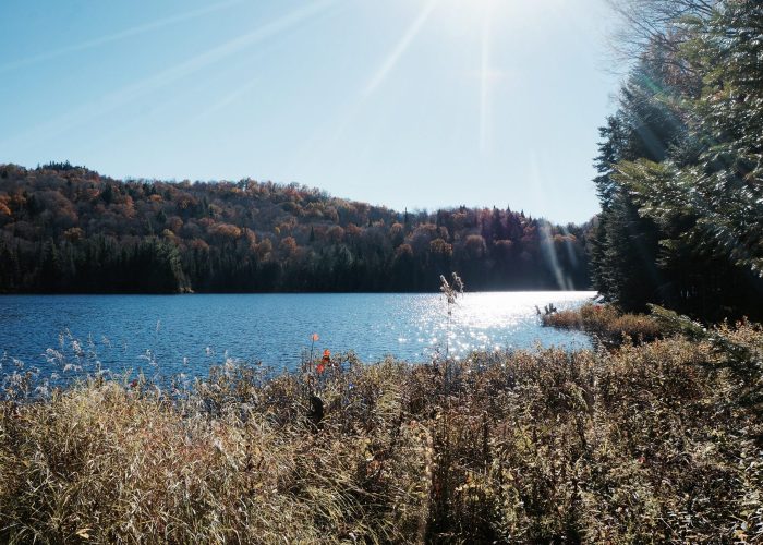 Invesco_Habitation_FullSizeRender