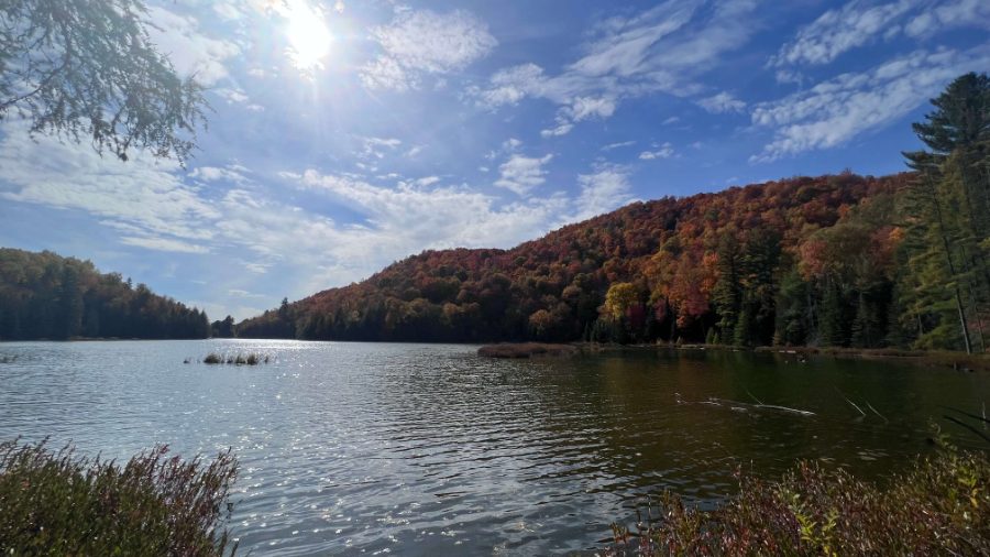 Invesco_Habitation_IMG_1585