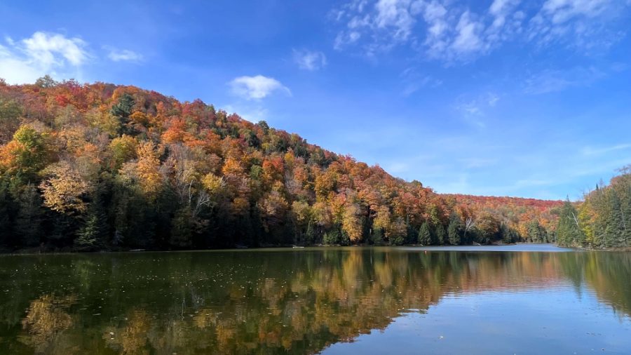 Invesco_Habitation_IMG_1597