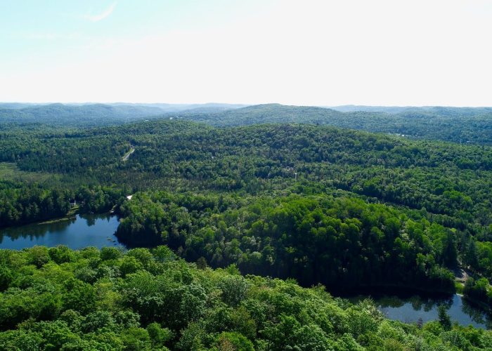 Invesco_Habitation_LacPerry