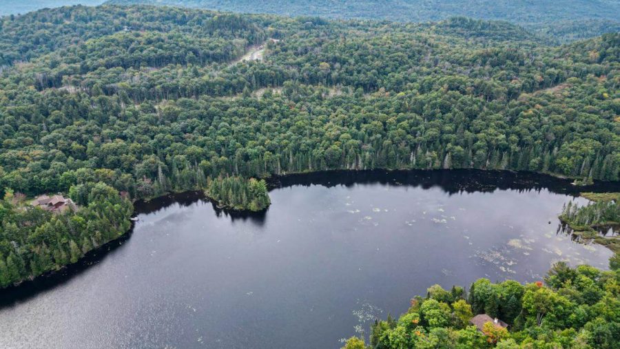 Invesco_Habitation_media5