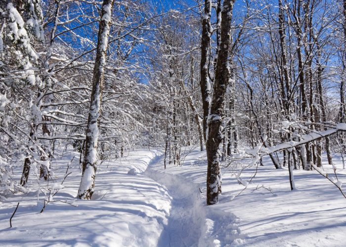 Invesco_Habitation_shutterstock_1299027157