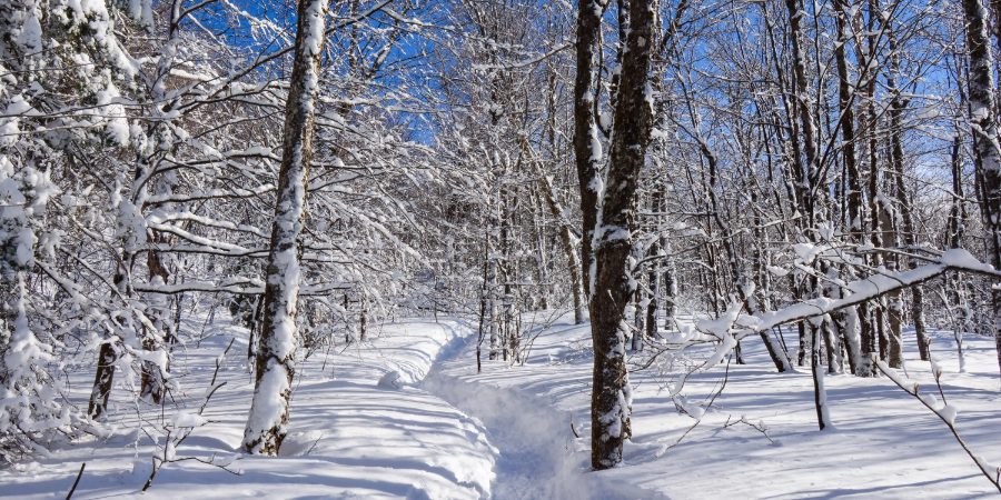 Invesco_Habitation_shutterstock_1299027157