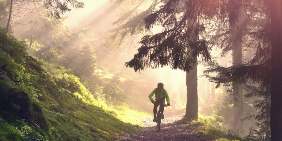 shutterstock_432534448